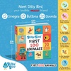 image:imageDITTY BIRD Talking Books 100 Animals  100 Words for Vocabulary amp Speech Learning  Sound Books for Toddlers 13  Childrens Interactive Toddler Books with Great Pictures  Sturdy Baby Sound Books