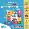 image:imageDitty Bird  First 100 Words Interactive Sound Book for toddlers 1 3  speech therapy  Educational Learning books for 1 year old
