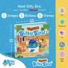 image:imageDitty Bird  Wheres Ditty  Look and Find book with sounds  Activity Sound Book for toddlers 1 3  Early learning toy