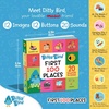 image:imageDitty Bird Talking Books 100 Places  100 Words for Vocabulary amp Speech Learning  Sound Books for Toddlers 13  Childrens Interactive Toddler Books with Great Pictures  Sturdy Baby Sound Books